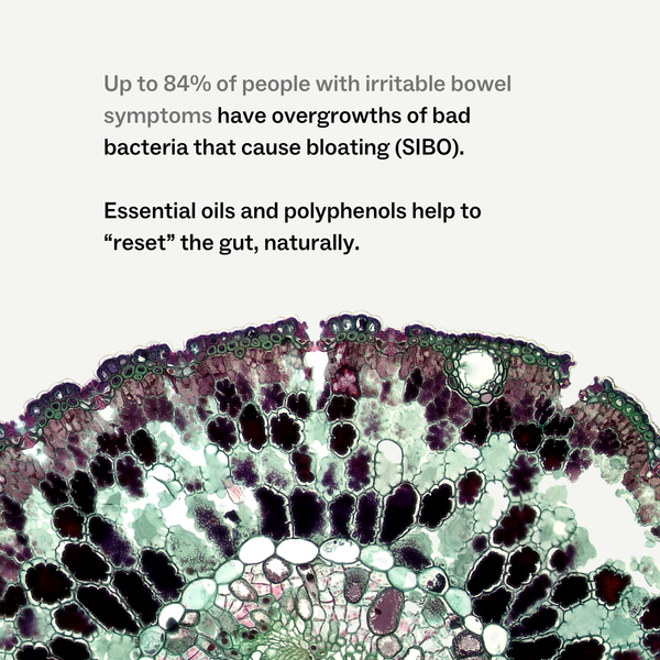 Irritable Bowel Syndrome