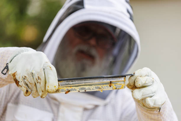 How Much Bee Venom Is Used in Skincare Products