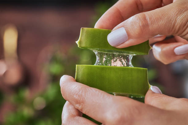Aloe Vera for Eczema Australia