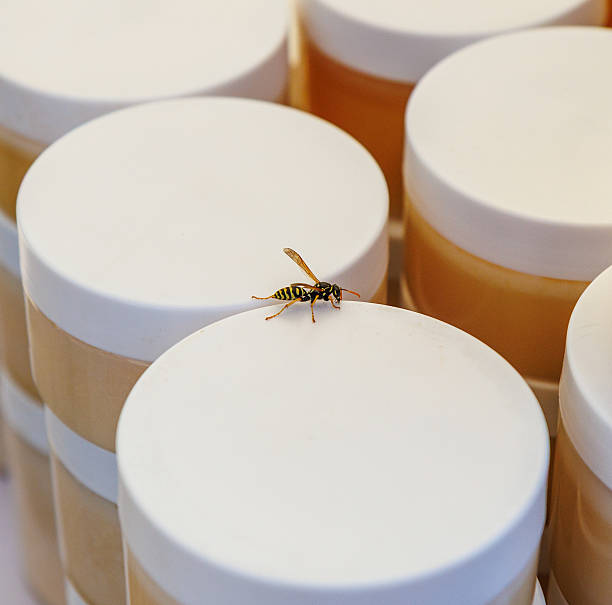 Best Bee Venom Cream