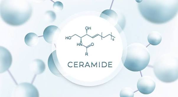 Ceramides for Skin Australia