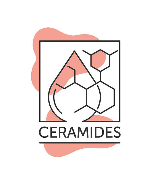 Why Moisturisers Contain Ceramides Australia