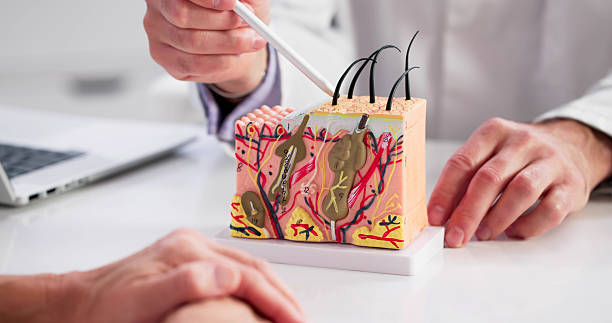 Your First Dermatology Appointment Australia