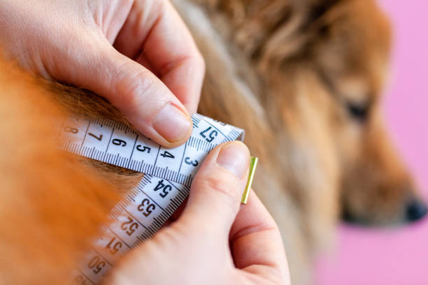 Eczema and Weight Australia