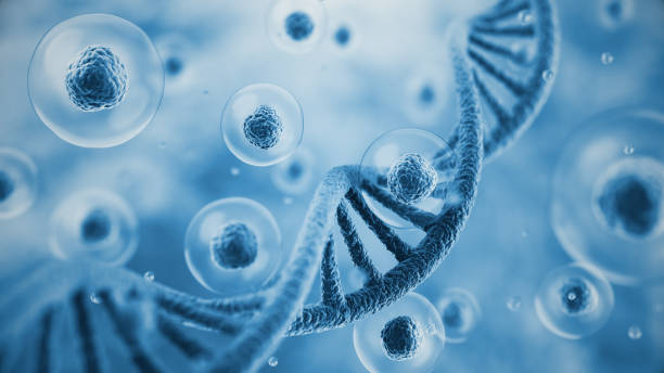Is Eczema Hereditary Australia?