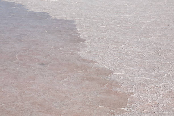 How to Use Sea Salt Shampoo