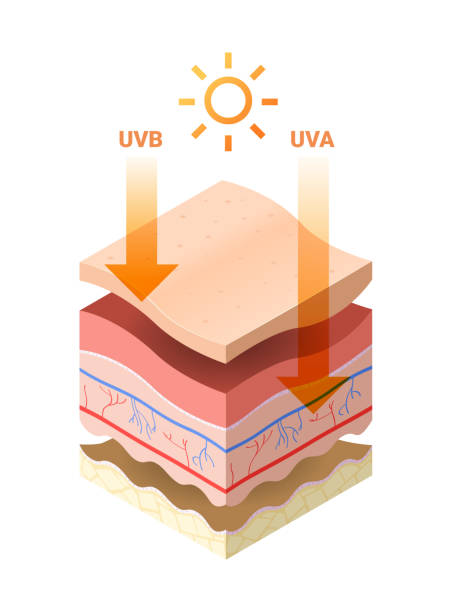 UVB versus UVA Light Therapy