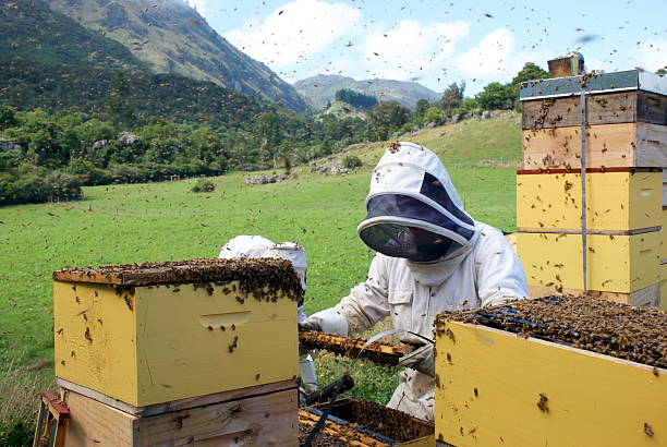 New Zealand Bee Venom Skincare Australia
