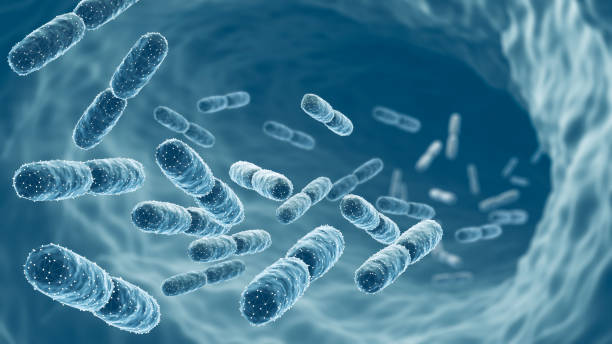 Probiotics for Eczema Australia