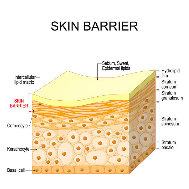 Skin Barrier Australia