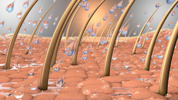 Skin Barrier Repair for Eczema Australia