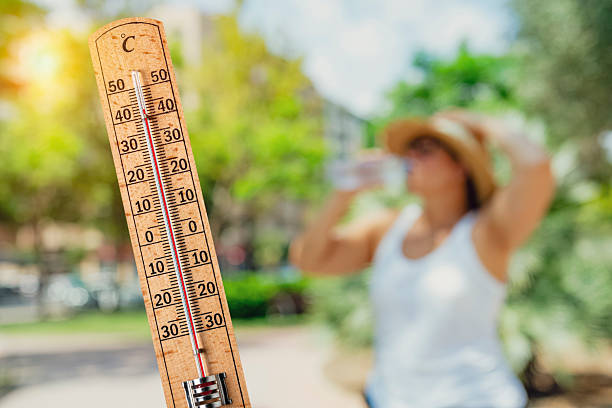 Contact Dermatitis and Summer Australia