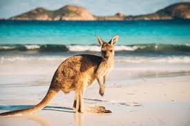 Psoriasis in Australia
