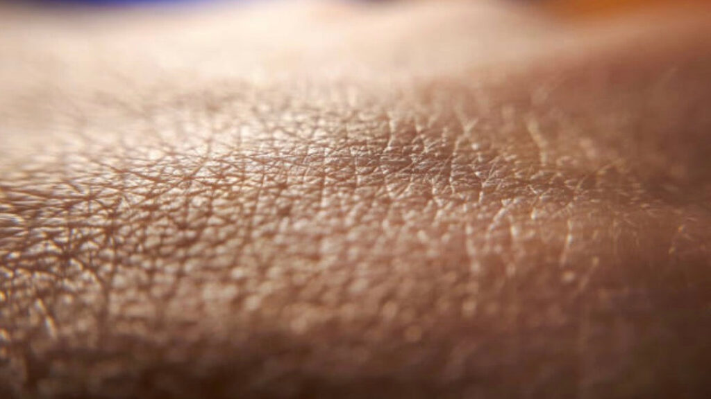 What Happens If You Stop Moisturising Australia