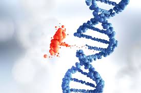 Is Psoriasis Genetic